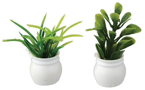 Plants, Set of 2